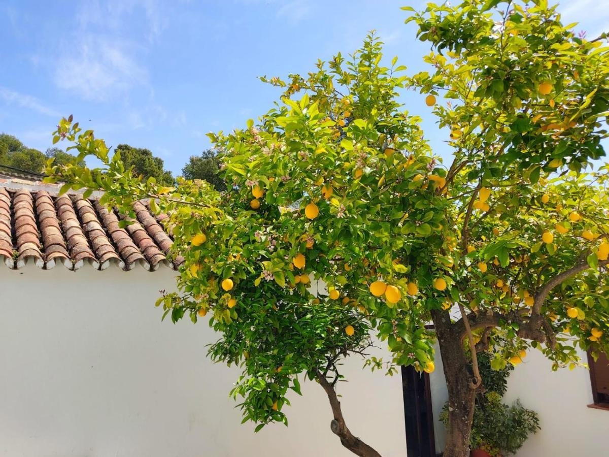 Casa El Patio Del Limon, Con Piscina Villa มอนเตกอร์โต ภายนอก รูปภาพ
